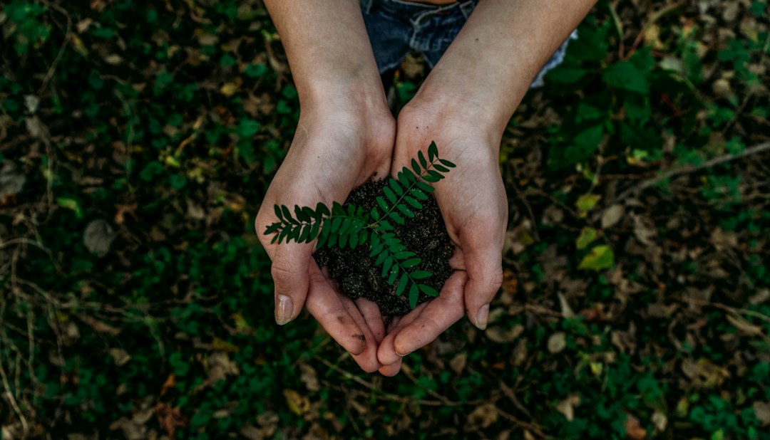 The Eco-Friendly Slumber: Unveiling the Environmental Impact of Organic Mattresses